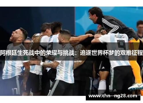 阿根廷生死战中的荣耀与挑战：追逐世界杯梦的艰难征程